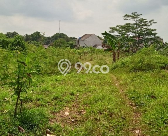 Tanah di Panongan, Tangerang Luas 5000m2 Dijual Segera Tanah di Panongan, Tangerang Luas 5000m2 Dijual Segera