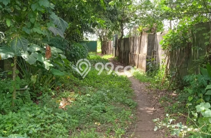 Tanah di Panongan, Tangerang Luas 5000m2 Dijual Segera Tanah di Panongan, Tangerang Luas 5000m2 Dijual Segera