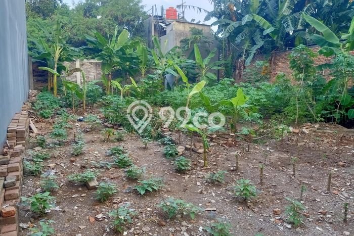 Tanah Dijual Lokasi Duren Sawit Jakarta Timur SHM Tanah Dijual Lokasi Duren Sawit Jakarta Timur SHM