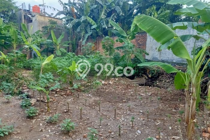 Tanah Dijual Lokasi Duren Sawit Jakarta Timur SHM Tanah Dijual Lokasi Duren Sawit Jakarta Timur SHM