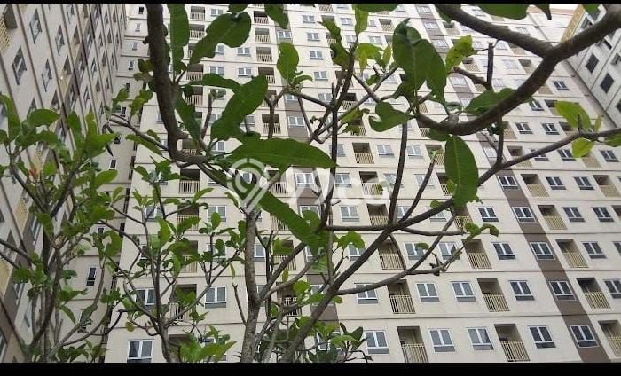 Disewakan Apartemen Harga Terjangkau di Cijantung 1 Bedroom Disewakan Apartemen Harga Terjangkau di Cijantung 1 Bedroom