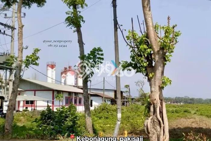 Kavling Tanah Disewakan di Pakisaji Malang Luas 3140m2 Strategis Kavling Tanah Disewakan di Pakisaji Malang Luas 3140m2 Strategis