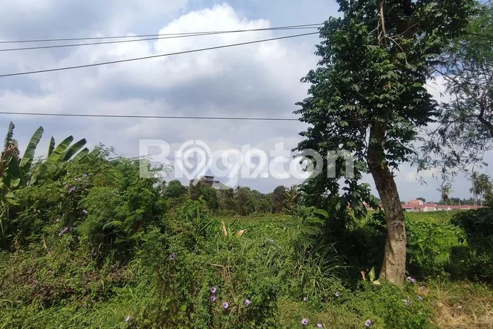 Lahan Dijual Lokasi Alang Alang Lebar, Palembang dengan Luas Tanah 18000m2 dan Status SHM Lahan Dijual Lokasi Alang Alang Lebar, Palembang dengan Luas Tanah 18000m2 dan Status SHM
