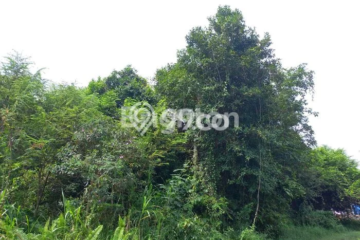 Untuk Dijual Tanah di Talang Kelapa Banyuasin Luas 900m2 SHM Untuk Dijual Tanah di Talang Kelapa Banyuasin Luas 900m2 SHM