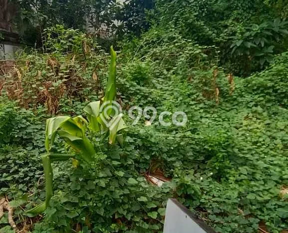 Tanah Kavling Dijual di Bendungan Hilir, Jakarta Pusat dengan Luas Tanah 270m2 Tanah Kavling Dijual di Bendungan Hilir, Jakarta Pusat dengan Luas Tanah 270m2