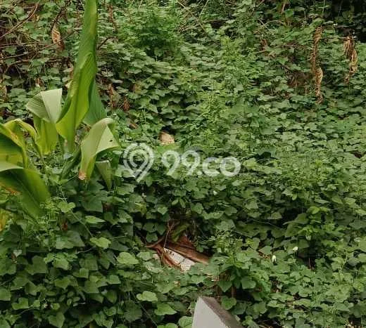 Tanah Kavling Dijual di Bendungan Hilir, Jakarta Pusat dengan Luas Tanah 270m2 Tanah Kavling Dijual di Bendungan Hilir, Jakarta Pusat dengan Luas Tanah 270m2