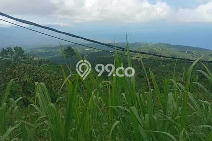 Tanah Dijual Area Strategis di Gobleg Buleleng 180000m2 Tanah Dijual Area Strategis di Gobleg Buleleng 180000m2