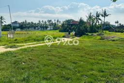 Kavling Tanah untuk Dijual di Kemenuh, Gianyar, Luas 1103m2 Kavling Tanah untuk Dijual di Kemenuh, Gianyar, Luas 1103m2