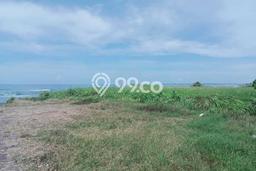 Tanah Dijual Area Strategis di Ketewel Gianyar 30000m2 Tanah Dijual Area Strategis di Ketewel Gianyar 30000m2