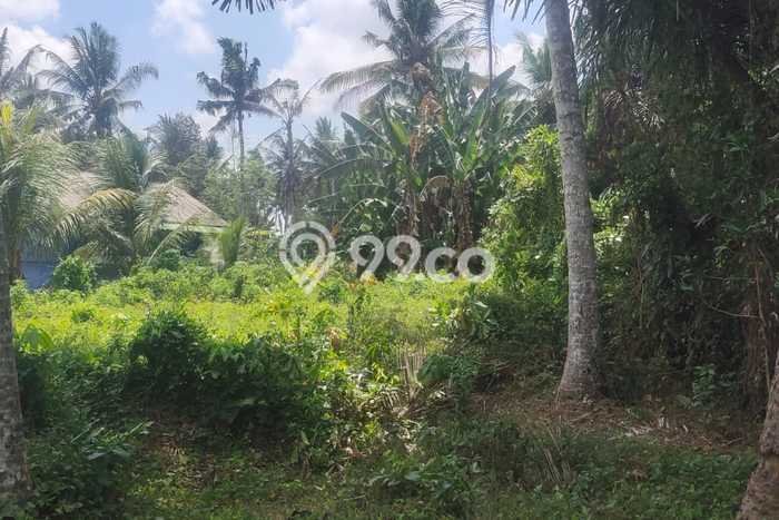Tanah Dijual Lokasi Abiansemal, Badung Luas 1225m2 Legalitas Aman Tanah Dijual Lokasi Abiansemal, Badung Luas 1225m2 Legalitas Aman