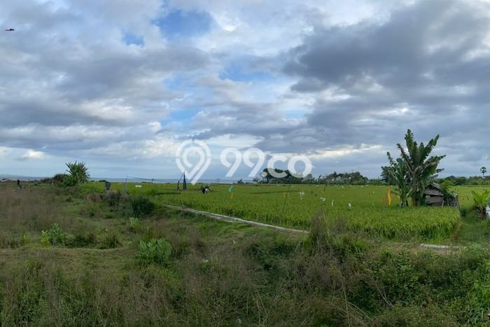 Tanah Dijual di Gianyar Seluas 23907m2 Strategis Tanah Dijual di Gianyar Seluas 23907m2 Strategis