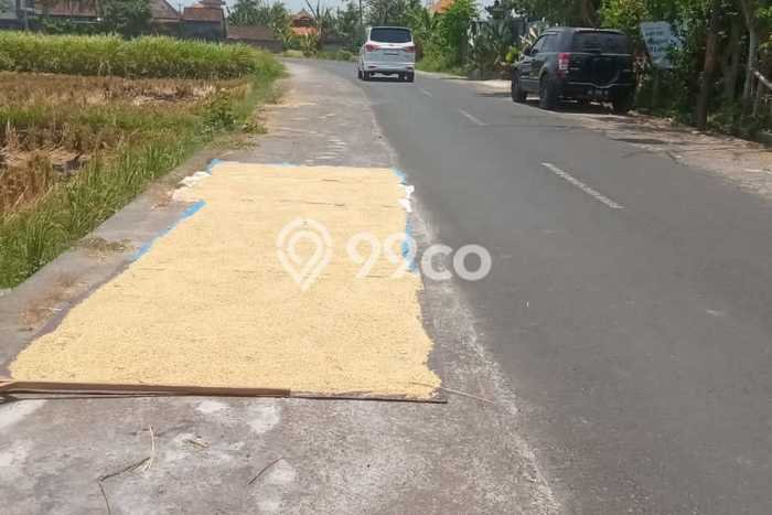 Kavling Tanah untuk Dijual di Singapadu, Gianyar, Luas 700m2 Kavling Tanah untuk Dijual di Singapadu, Gianyar, Luas 700m2
