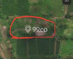 Kavling Tanah di Ubud Dijual Luas 1900m2 Legalitas - Kavling Tanah di Ubud Dijual Luas 1900m2 Legalitas -
