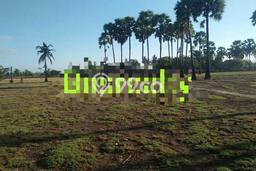 Kavling Tanah Dijual di Gerokgak, Buleleng, Luas 120000m2 Area Strategis Kavling Tanah Dijual di Gerokgak, Buleleng, Luas 120000m2 Area Strategis