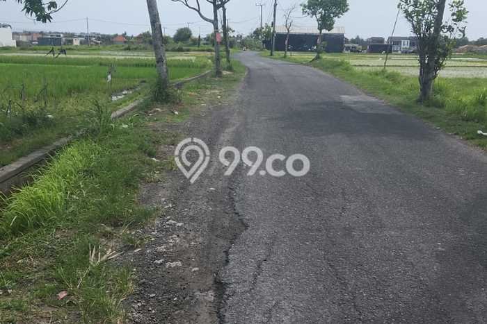 Tanah Dijual Area Strategis di Pererenan Badung 380m2 Tanah Dijual Area Strategis di Pererenan Badung 380m2
