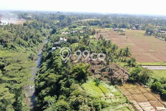 Tanah Dijual Area Strategis di Lodtunduh Gianyar 5220m2 Tanah Dijual Area Strategis di Lodtunduh Gianyar 5220m2