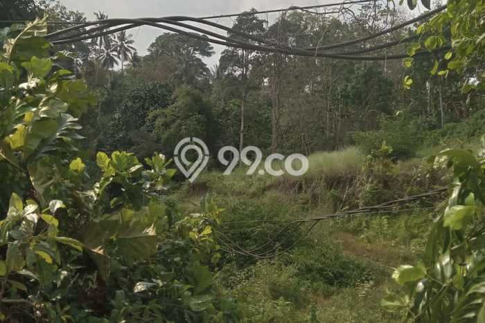 Tanah Siap Bangun Dijual di Gianyar Punya Luas 3500m2 Tanah Siap Bangun Dijual di Gianyar Punya Luas 3500m2