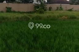 Tanah Kavling untuk Dijual di Ubud Gianyar 1877m2 Tanah Kavling untuk Dijual di Ubud Gianyar 1877m2