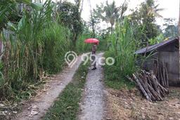 Tanah di Ubud, Gianyar Luas 17500m2 Dijual Segera Tanah di Ubud, Gianyar Luas 17500m2 Dijual Segera