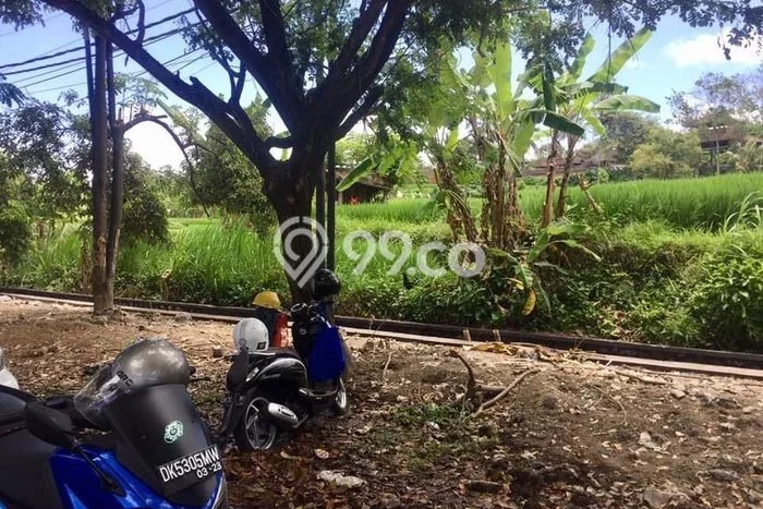 Tanah Dijual Lokasi Strategis di Gianyar dengan Luas 2065m2 Tanah Dijual Lokasi Strategis di Gianyar dengan Luas 2065m2
