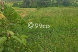 Tanah Dijual Lokasi Strategis di Tabanan dengan Luas 4500m2 Tanah Dijual Lokasi Strategis di Tabanan dengan Luas 4500m2