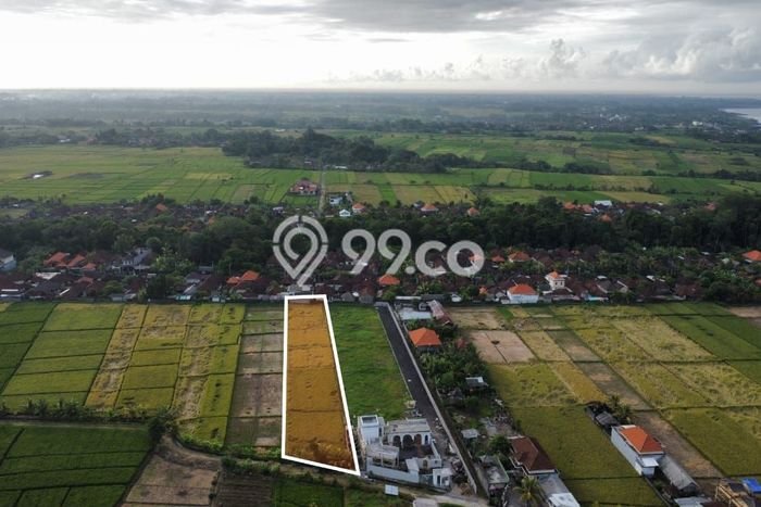 Tanah Kavling di Kerambitan Dijual dengan Luas 1975m2 Tanah Kavling di Kerambitan Dijual dengan Luas 1975m2