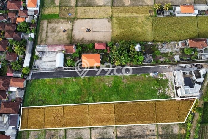 Tanah Kavling di Kerambitan Dijual dengan Luas 1975m2 Tanah Kavling di Kerambitan Dijual dengan Luas 1975m2