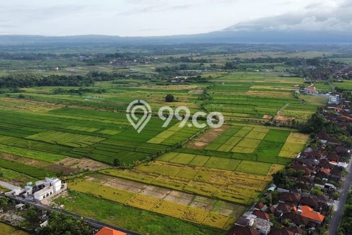 Tanah Kavling di Kerambitan Dijual dengan Luas 1975m2 Tanah Kavling di Kerambitan Dijual dengan Luas 1975m2