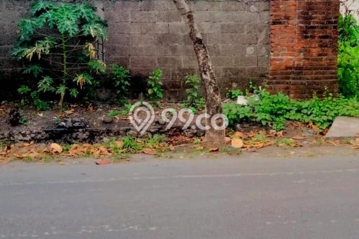 Tanah Dijual di Badung Seluas 1100m2 Strategis Tanah Dijual di Badung Seluas 1100m2 Strategis
