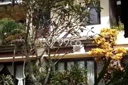 FOR SALE! Vila Kawasan , Area 732m2m², Lokasi Strategis FOR SALE! Vila Kawasan , Area 732m2m², Lokasi Strategis