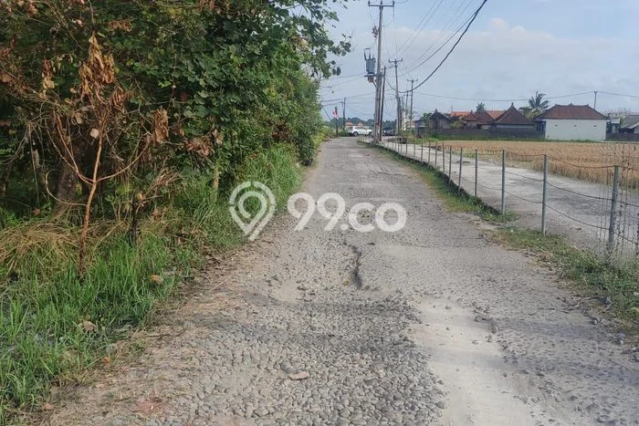 Tanah Kavling Dijual di Lodtunduh, Gianyar dengan Luas Tanah 1000m2 Tanah Kavling Dijual di Lodtunduh, Gianyar dengan Luas Tanah 1000m2