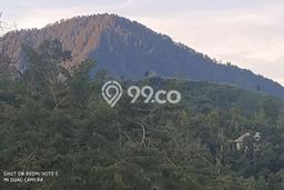 Kavling Tanah untuk Dijual di Munduk, Buleleng, Luas 11000m2 Kavling Tanah untuk Dijual di Munduk, Buleleng, Luas 11000m2