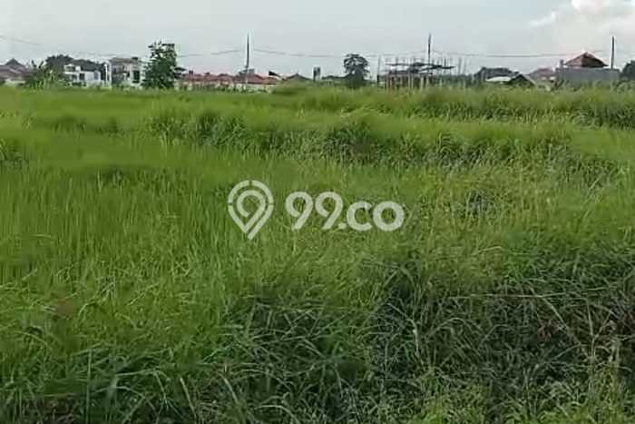Lahan untuk Disewa di Badung Luas 4000m2 Lahan untuk Disewa di Badung Luas 4000m2