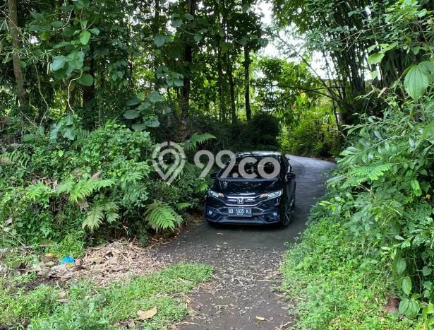 Tanah Strategis Dijual di Borobudur Magelang 1397m2 Tanah Strategis Dijual di Borobudur Magelang 1397m2