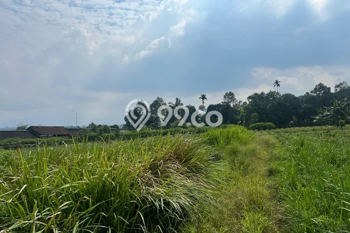 Kavling Tanah Dijual di Bojong Genteng Sukabumi Spesifikasi 78000m2 Kavling Tanah Dijual di Bojong Genteng Sukabumi Spesifikasi 78000m2