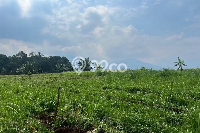 Kavling Tanah Dijual di Bojong Genteng Sukabumi Spesifikasi 78000m2 Kavling Tanah Dijual di Bojong Genteng Sukabumi Spesifikasi 78000m2