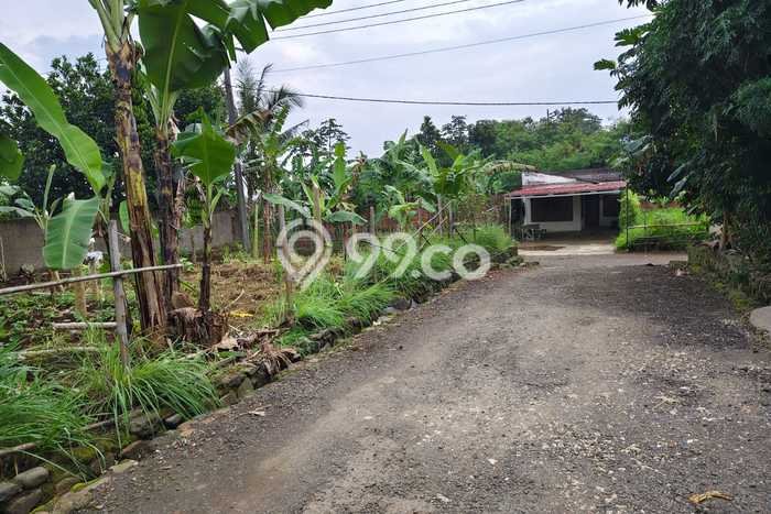 Jual Tanah di Ciampea, Luas 144m², Lokasi Strategis, Kontur Datar Jual Tanah di Ciampea, Luas 144m², Lokasi Strategis, Kontur Datar