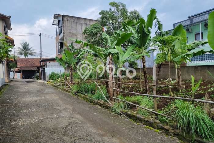 Jual Tanah di Ciampea, Luas 144m², Lokasi Strategis, Kontur Datar Jual Tanah di Ciampea, Luas 144m², Lokasi Strategis, Kontur Datar