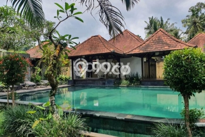 Properti Berkualitas! Vila Kawasan Payangan, Area 1595m2m², Kondisi Terbaik Properti Berkualitas! Vila Kawasan Payangan, Area 1595m2m², Kondisi Terbaik