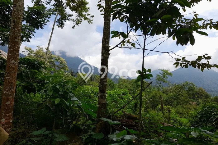 Kavling Tanah untuk Dijual di Jatiluwih, Tabanan, Luas 2700m2 Kavling Tanah untuk Dijual di Jatiluwih, Tabanan, Luas 2700m2