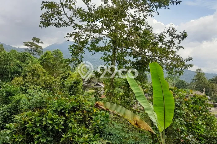 Kavling Tanah untuk Dijual di Jatiluwih, Tabanan, Luas 2700m2 Kavling Tanah untuk Dijual di Jatiluwih, Tabanan, Luas 2700m2