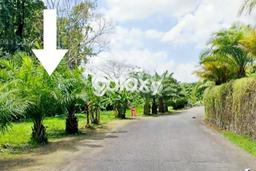 Tanah Kavling Dijual di Munggu, Badung dengan Luas Tanah 822m2 Tanah Kavling Dijual di Munggu, Badung dengan Luas Tanah 822m2
