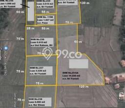 Dijual Tanah di Metro Barat Metro Luas 50000m2 SHM Dijual Tanah di Metro Barat Metro Luas 50000m2 SHM