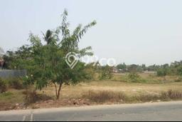 Kavling Tanah Dijual di Kronjo Tangerang Spesifikasi 40000m2 Kavling Tanah Dijual di Kronjo Tangerang Spesifikasi 40000m2