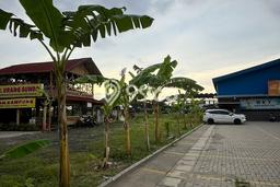 Siap Disewakan Tanah di Legok Luas 1500m2 Area Potensial Siap Disewakan Tanah di Legok Luas 1500m2 Area Potensial