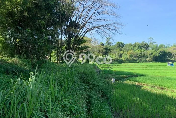 Tanah Kavling di Cianjur Dijual dengan Luas 27000m2 Tanah Kavling di Cianjur Dijual dengan Luas 27000m2