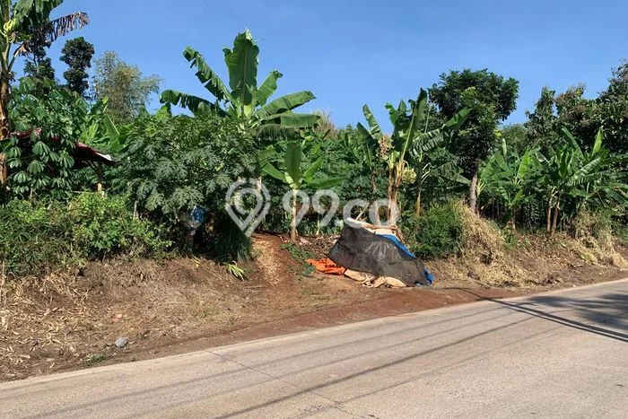 Tanah Kavling di Cianjur Dijual dengan Luas 27000m2 Tanah Kavling di Cianjur Dijual dengan Luas 27000m2