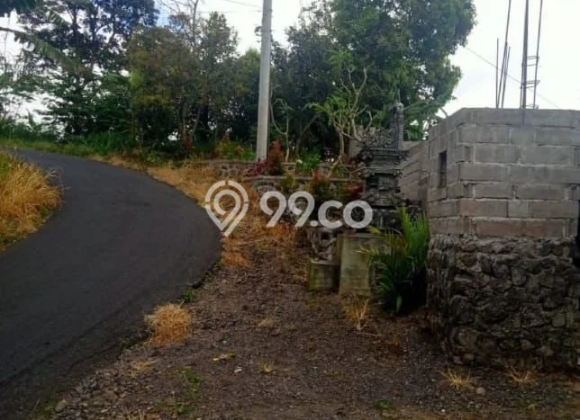 Tanah Investasi Dijual di Buleleng Punya Luas 65120m2 Tanah Investasi Dijual di Buleleng Punya Luas 65120m2