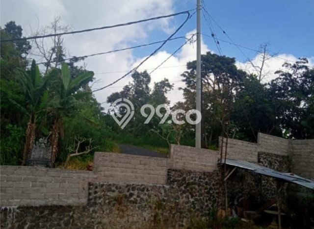 Tanah Investasi Dijual di Buleleng Punya Luas 65120m2 Tanah Investasi Dijual di Buleleng Punya Luas 65120m2