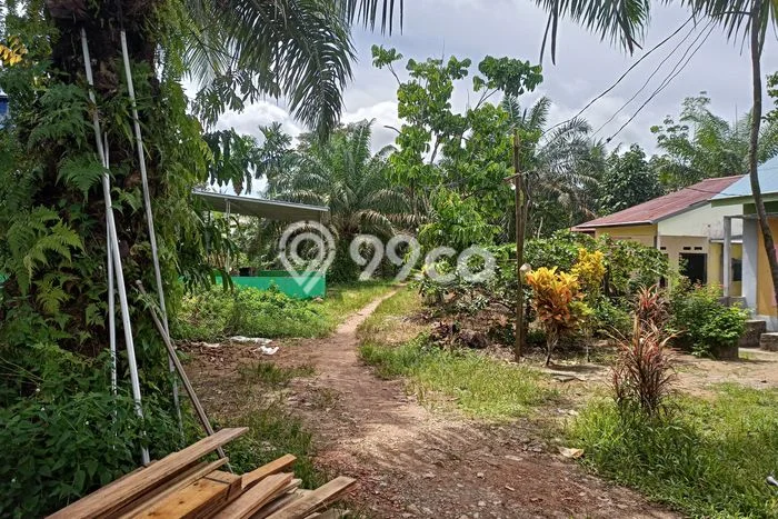 Untuk Dijual Tanah 80000m2 di Mempawah Hilir, Pontianak Untuk Dijual Tanah 80000m2 di Mempawah Hilir, Pontianak